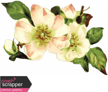 Flower Power Elements Kit Flower Bunch Graphic By Marisa Flower Bunch Hd Digital Png Flower Bunch Png png