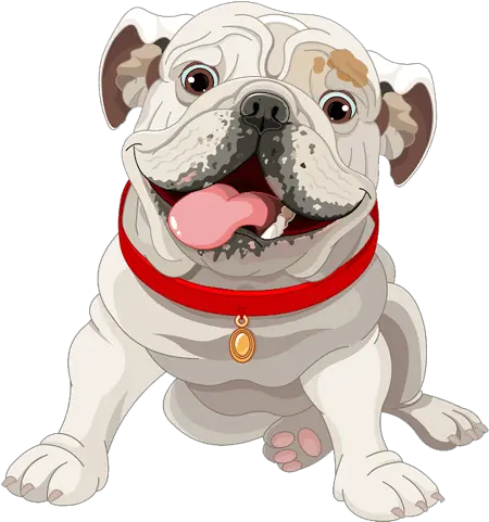 Miami Exotic Bulliez Bulldog Cute Png British Icon Bulldogs