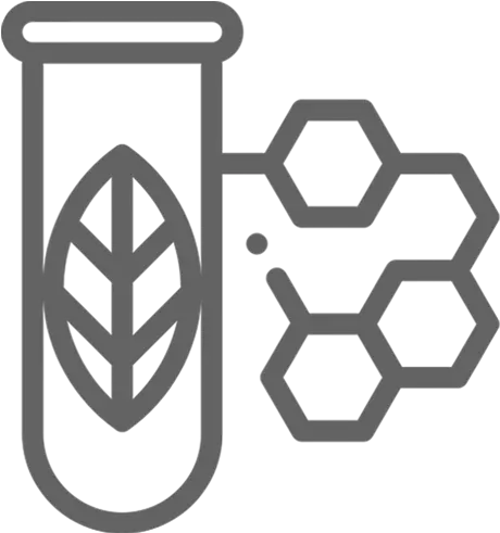 One League Png Bobby The Making Of A Liberal Icon