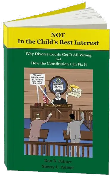 Book Notinthechildsbestinterest3dstandingopen Not In The Best How Divorce Courts Get It All Wrong And How The Constitution Can Fix It Png Open Book Transparent Background