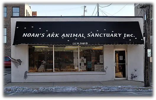 Welcome Ark Animal Sanctuary Rockford Il Png Ark Ts Icon