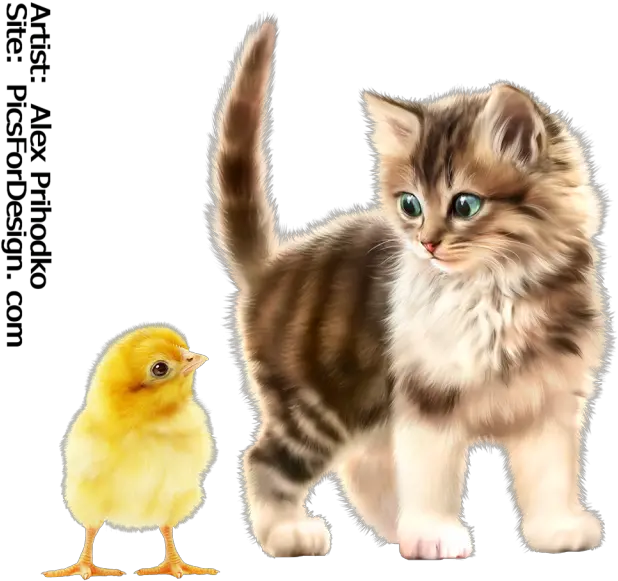 Download Hd Kitty Chick Kitten Transparent Png Image Kitten Chick Png