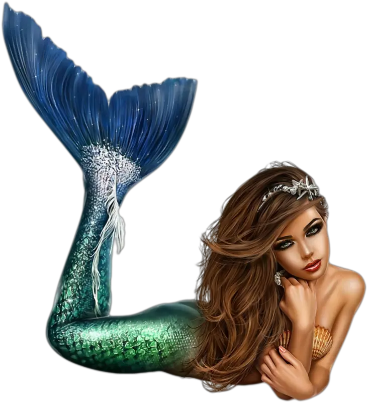 Mermaid Png Mermaid Png Mermaid Tail Transparent Background