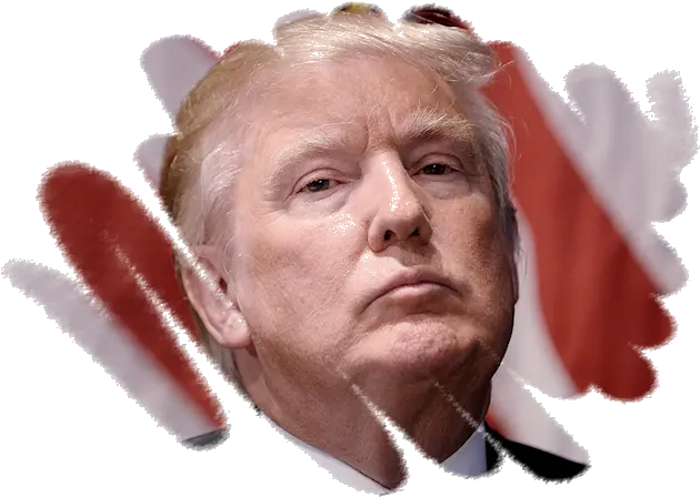 Trump Impeached Human Png Trump Hair Png