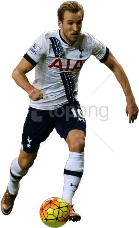 Download Free Png Harry Kane Images Background