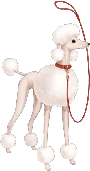 Love Nikki Standard Poodle Png Poodle Png