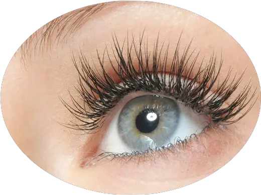 Eyelash Extensions Mariposa Hair Ilia Shadow Of A Doubt Mascara Png Eyelashes Png
