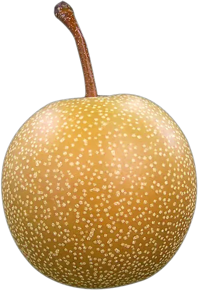 Asian Pear Png Image Asian Pear Png Pear Png