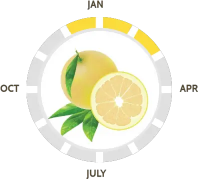 Our Varieties Suntreat Meyer Lemon Png Lime Wedge Icon