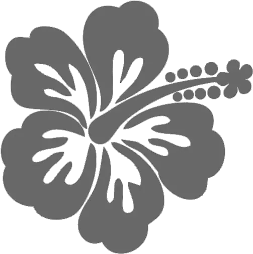 Cropped Hibiscus Png Hawaii Png