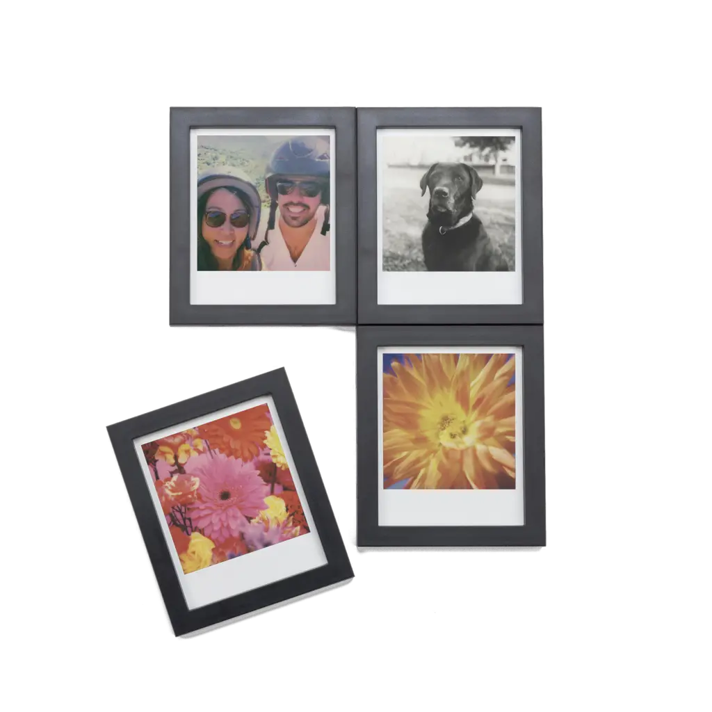 Magnetic Picture Frames Wildflower Png Polaroid Frame Png