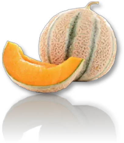 Forward Osmosis For Active Ingredients Ederna Honeydew Png Melon Png