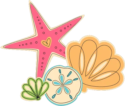 Make A Faux Sand Dollar Keychain 100 Directions Starfish Png Sand Dollar Png