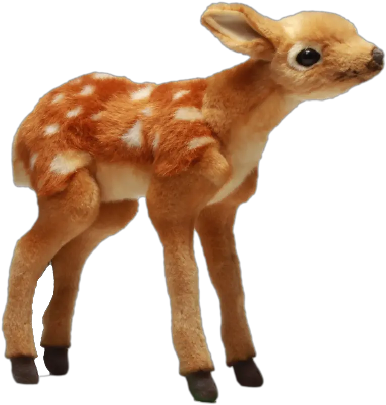 Bambi Png Bambi Whitetailed Deer 2042731 Vippng Deer Deer Png