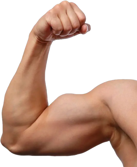 Muscle Transparent Background Muscular Arm Png Muscle Emoji Png