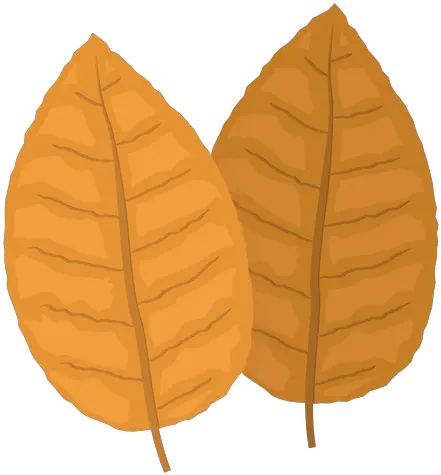 Photo Of Tobacco Leaves Clipart Tobacco Leaf Png Leaves Clipart Png