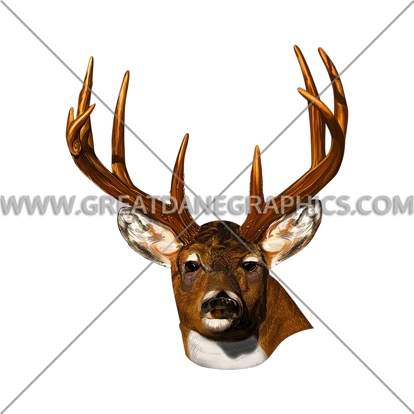 Deer Head Stare Production Ready Artwork For T Shirt Printing Elk Png Deer Skull Png