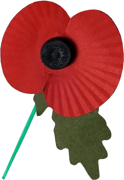 Remembrance Day Poppy Transparent Png Free Images Transparent Background Remembrance Poppy Png Corn Transparent Background