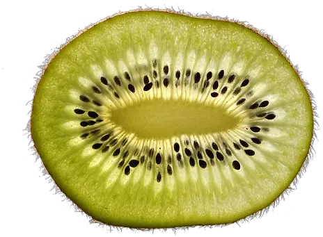 800 Free Kiwi U0026 Fruit Images Pixabay Close Up Fruit And Vegetable Quiz Png Kiwi Transparent