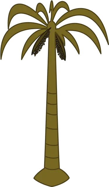 Black Outline Drawing Silhouette Palm Tree White Png