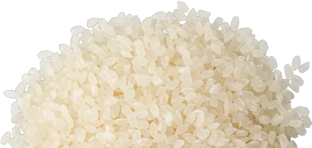 Grain Of Rice Transparent U0026 Png Clipart Free Download Ywd Grain Of Rice Transparent Rice Transparent Background