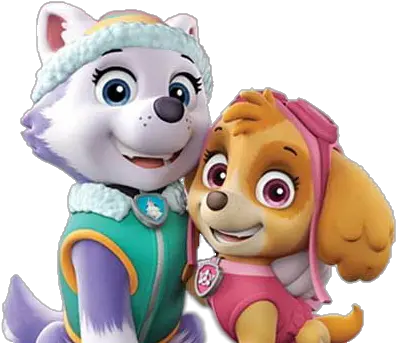 Everestskye Sticker By Bruna Paw Patrol Skye And Everest Paw Patrol Clipart Png Skye Png