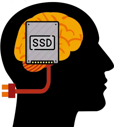 Memorize Everything Memory Games 2020 U2013 Apps Language Png Open Mind Icon