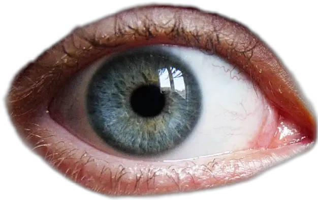 Eye Humaneye Blueeye Blue Green Eyes Close Up Png Realistic Eye Png