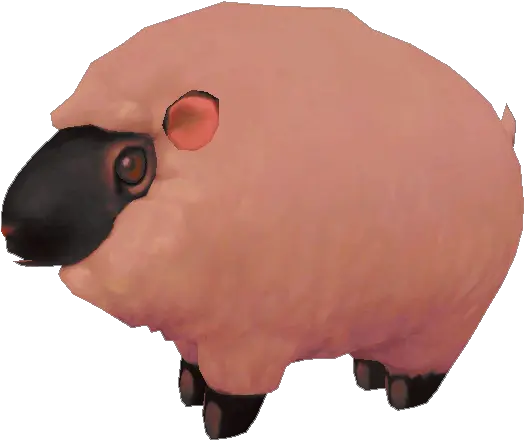 Download Image Pink Sheep Sheep Png Image With No Sheep Sheep Png