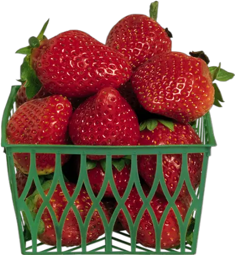 Barquette De Fraises Png Tube Strawberries Fresas Png Barquette De Fraises Uc Davis Icon