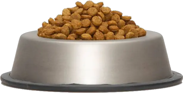 Dog Bowl Png 2 Image Dog Food Bowl Transparent Dog Bowl Png