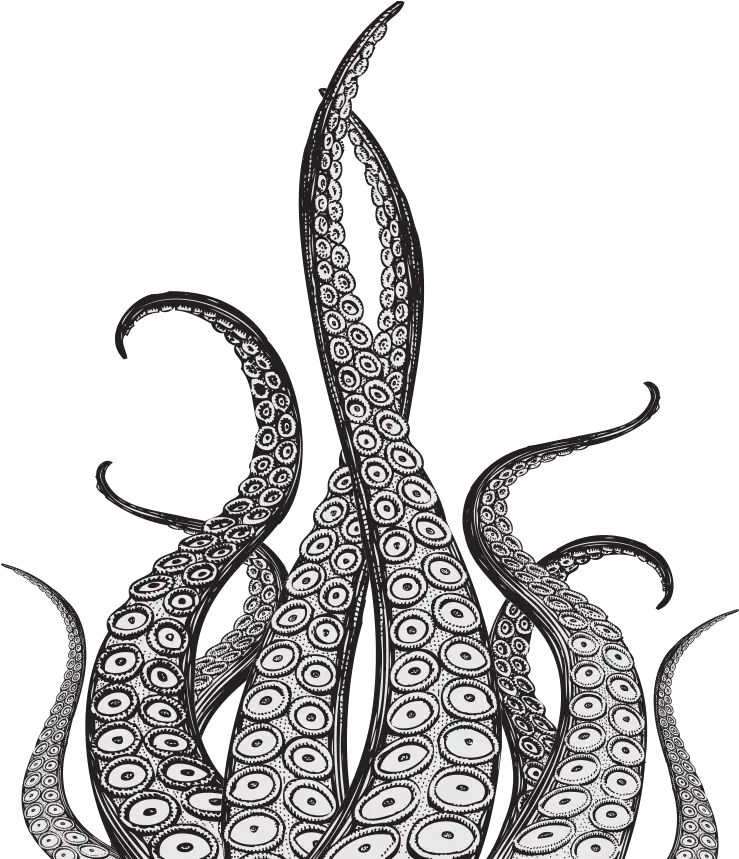 Octopus Tentacles Png Pic Tentacle Drawing Tentacles Transparent Background