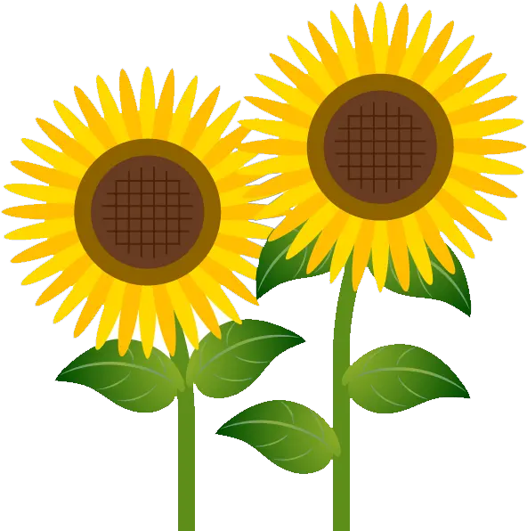 How To Download Flower Cliparts Clipart Transparent Sunflower Clip Art Free Png Clipart Transparent Background