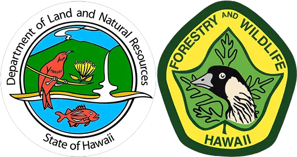 Division Of Forestry And Wildlife Language Png Forest Service Avian Icon
