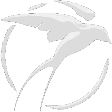 Gtsport Automotive Decal Png Witcher 3 Logo