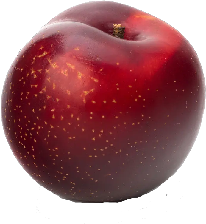 Free Plum Png Transparent Images Fruit Is Red In Colour Plum Png