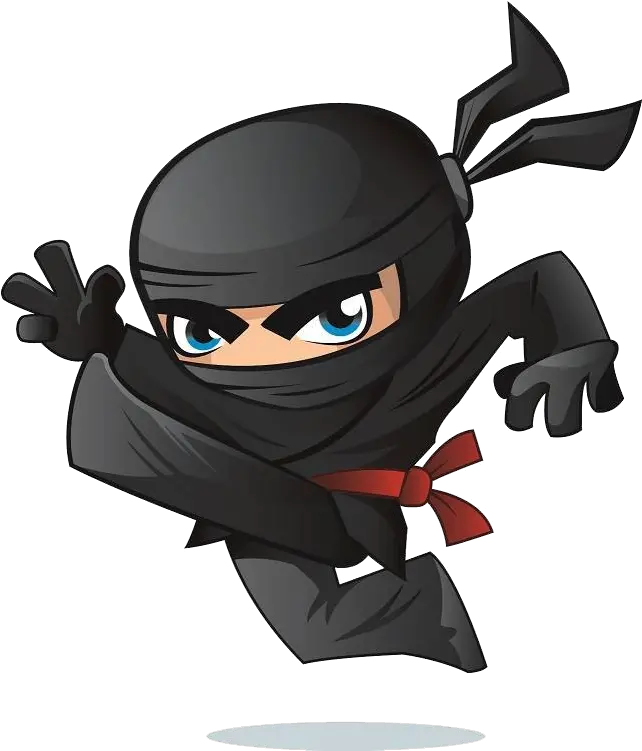 Ninja Png Image Assassin Photo Png Ninja Assassin Png