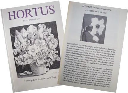 St Davids Day Presteigneu0027s Daffodils Document Png Daffodil Icon