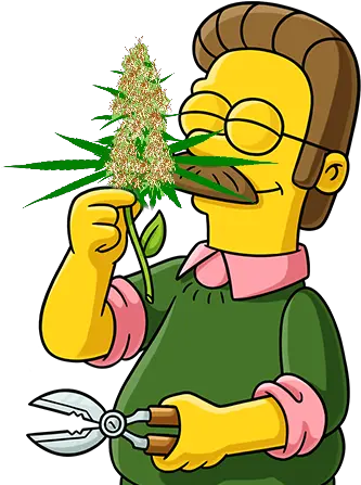 Howdy Doodleey Ned Flanders Transparent Background Png Ned Flanders Png
