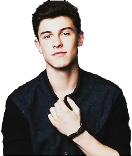 Download Shawn Mendes Png Picture