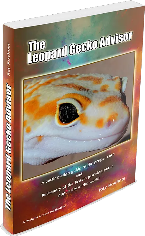 The Leopard Gecko Advisor Iguanas Png Leopard Gecko Png
