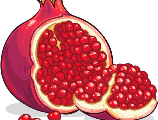 Pomegranate Clipart High Resolution Transparent Background Pomegranate Clipart Png Pomegranate Transparent
