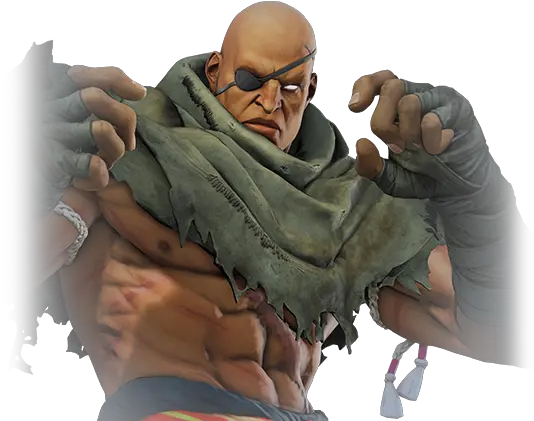 Sagat Street Fighter Wiki Fandom Street Fighter Eye Patch Png Street Fighter Png