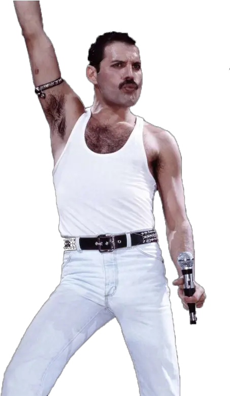 Freddie Mercury 2 Png Sacha Baron Cohen Freddie Mercury Mercury Png