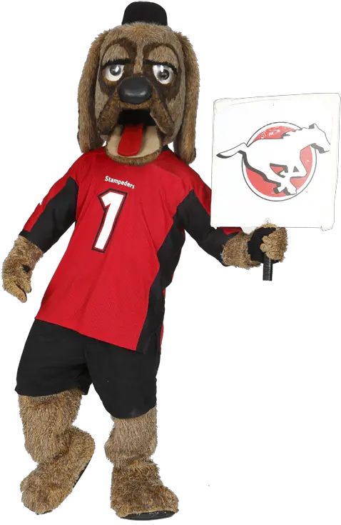 Mascots Calgary Stampeders Mascot Png Mustang Mascot Logo