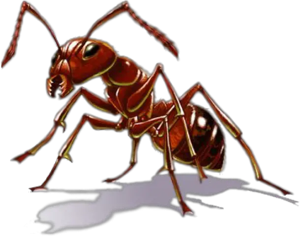 Ant Png Transparent Images 1 385 X 305 Webcomicmsnet Pest Control Ant Png