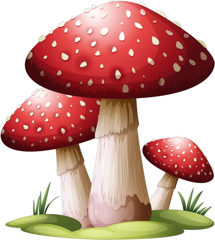 Red Mushroom Png Red Mushroom Drawing Mushroom Transparent Background