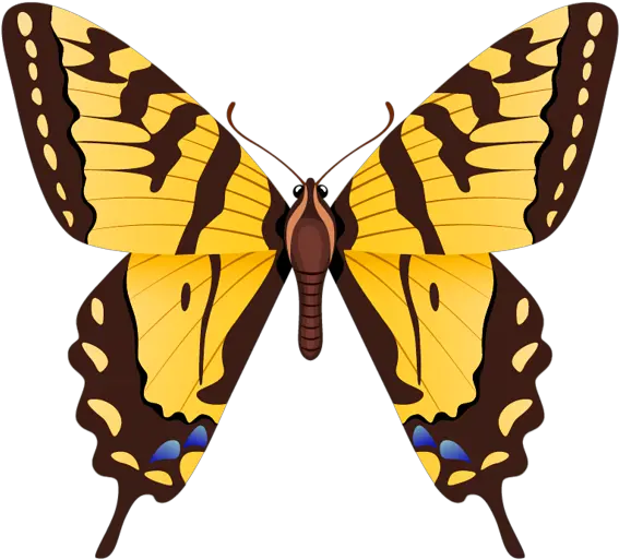 Download Butterfly Png Clipart Image Tiger Swallowtail Swallowtail Butterfly Png Transparent Butterfly Png Clipart png