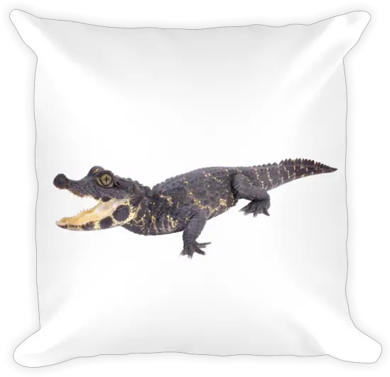 Dwarf Crocodile Print Square Pillow Big Png Crocodile Transparent