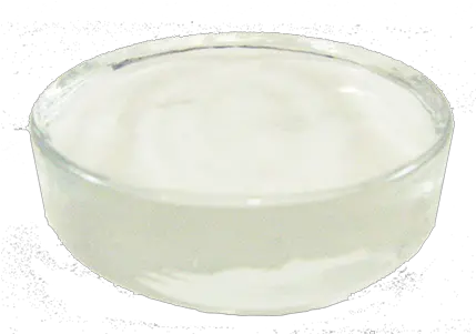 Pickle Puck Glass Weight For Fermenting Foods Transparent PNG